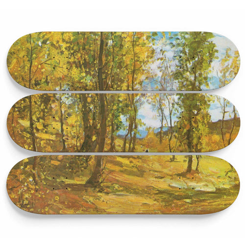 Luminis Skateboard Wall Art