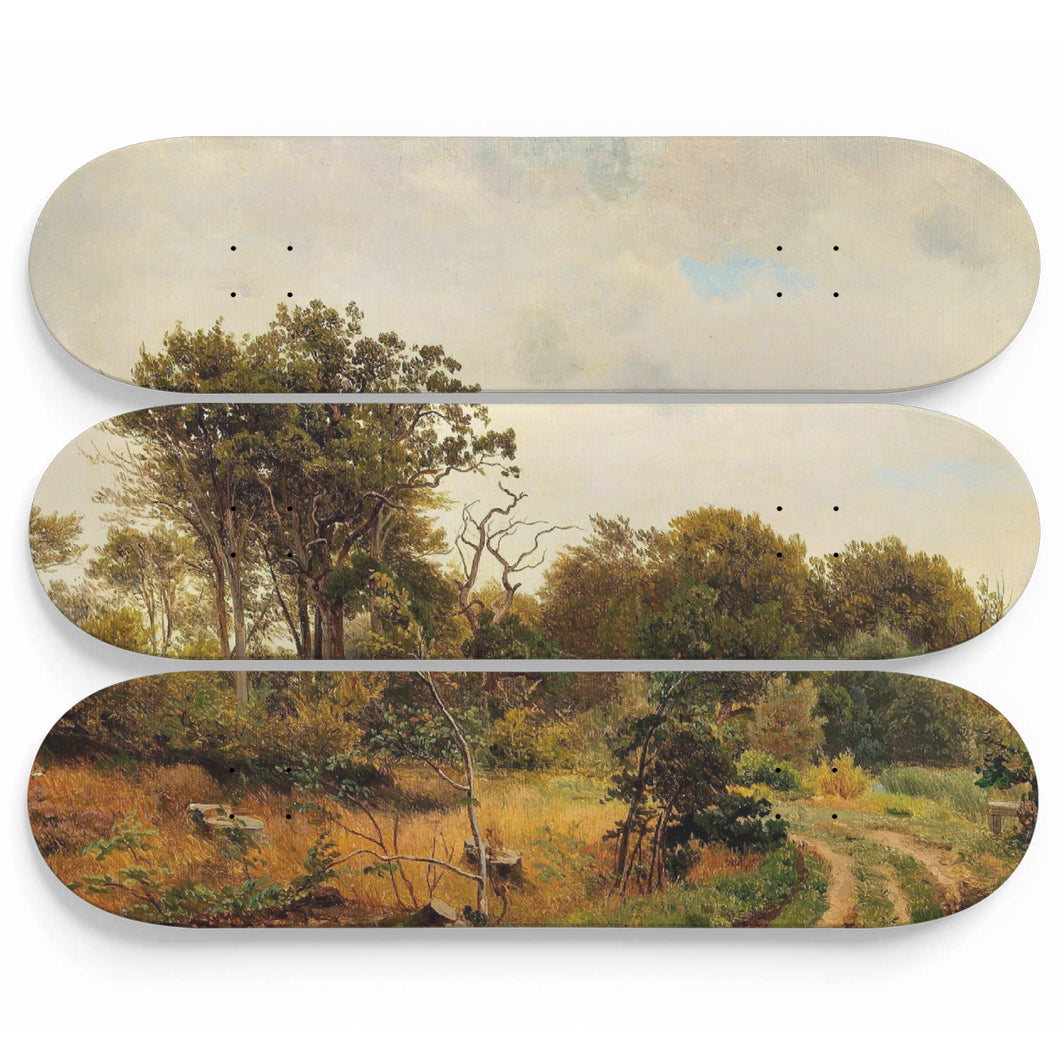 Parti ved Hellebæk Skateboard Wall Art