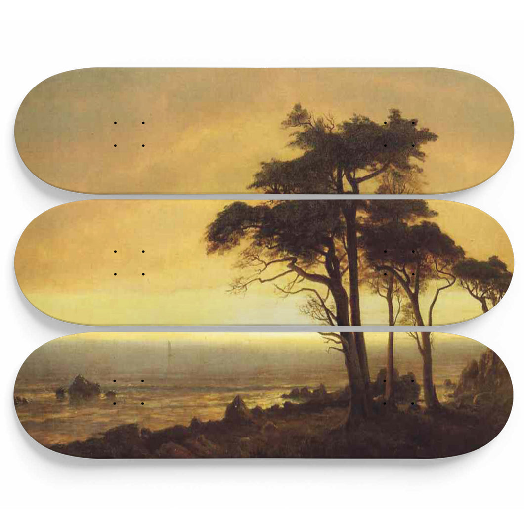 California Coast Skateboard Wall Art