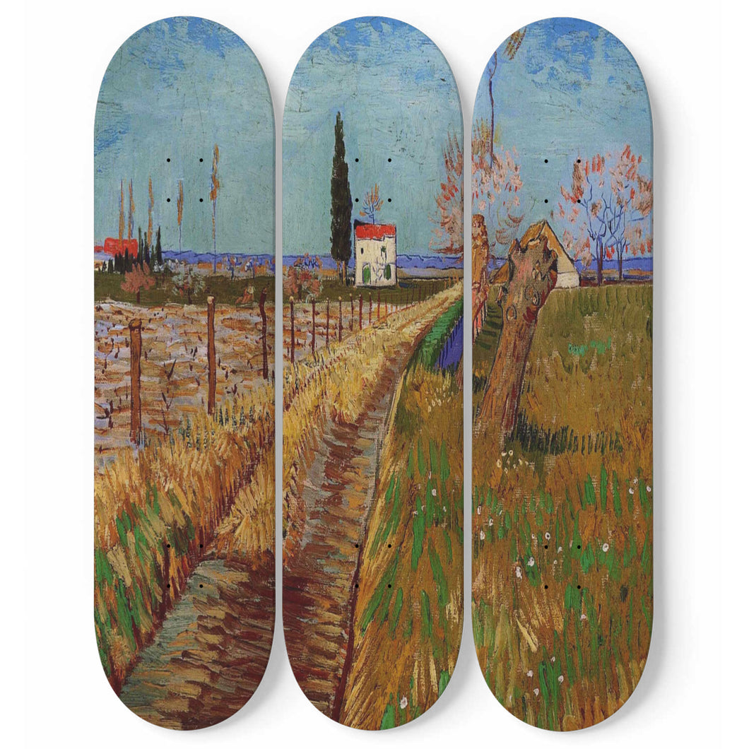 Pfad durch eine Wiese mit Weiden Skateboard Wall Art