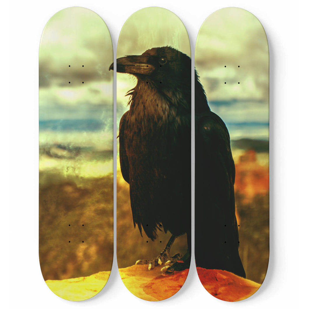 The Raven Skateboard Wall Art