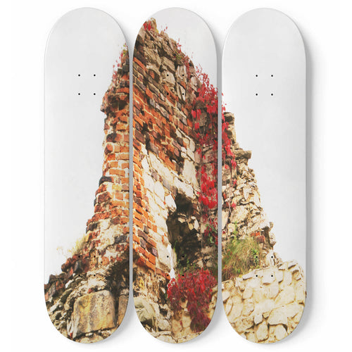 Ancient Ruin Skateboard Wall Art