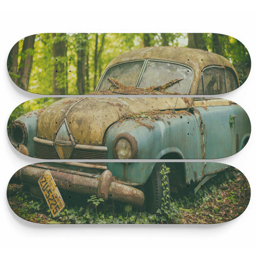 Achella's Car Skateboard Wall Art