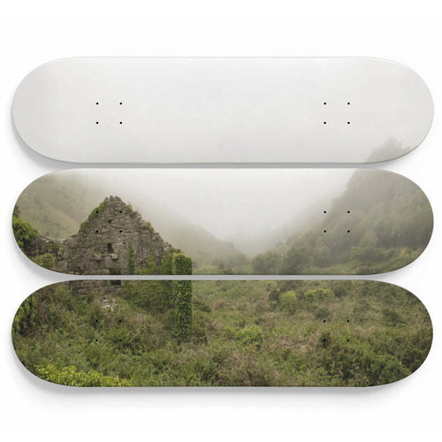 Mist Cabin Skateboard Wall Art