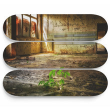 Sunny Dark Saloon Skateboard Wall Art