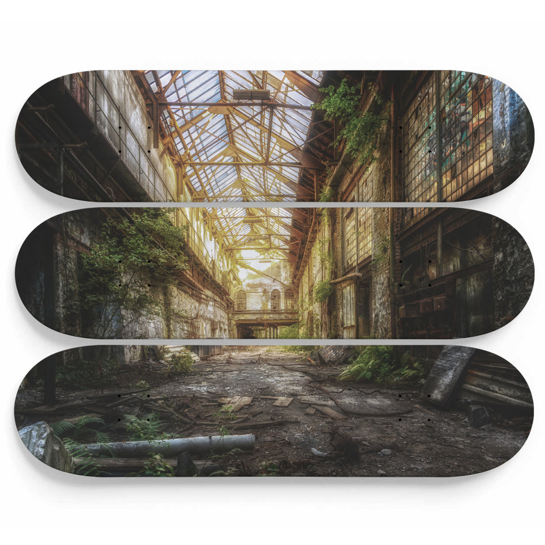 Overgrown Conservatory Skateboard Wall Art