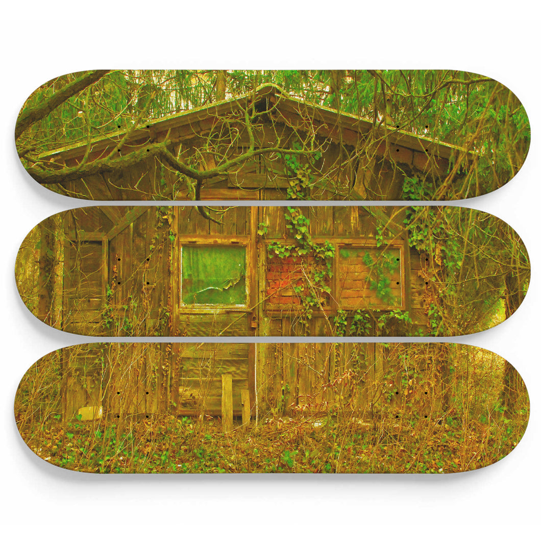 Uncle's Tom Cabin Skateboard Wall Art