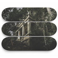 Doctor Steinbeck Asylum Skateboard Wall Art