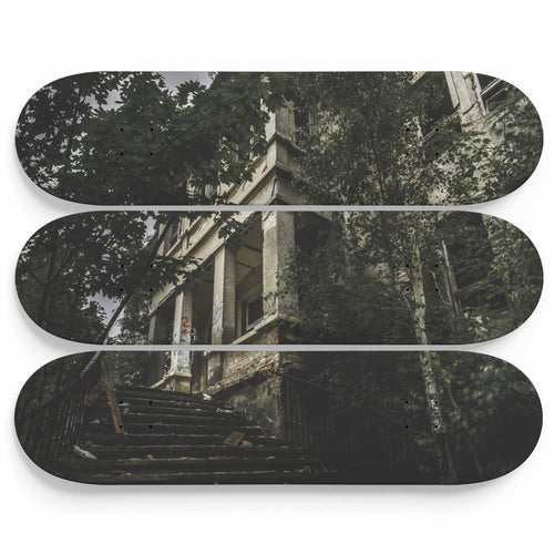 Doctor Steinbeck Asylum Skateboard Wall Art