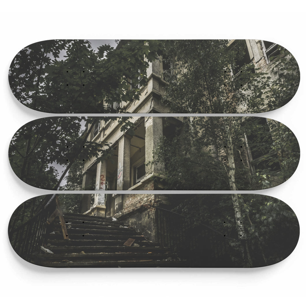 Doctor Steinbeck Asylum Skateboard Wall Art