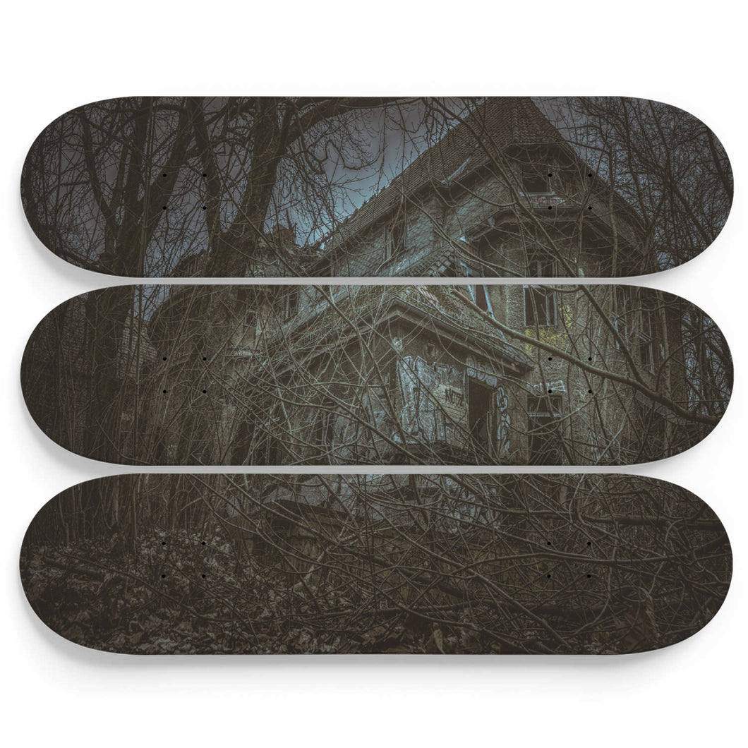 Lord's House Skateboard Wall Art