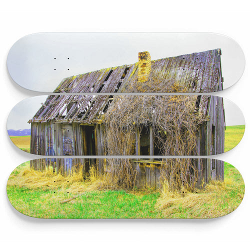 Old Kentucky Farmhouse Skateboard Wall Art