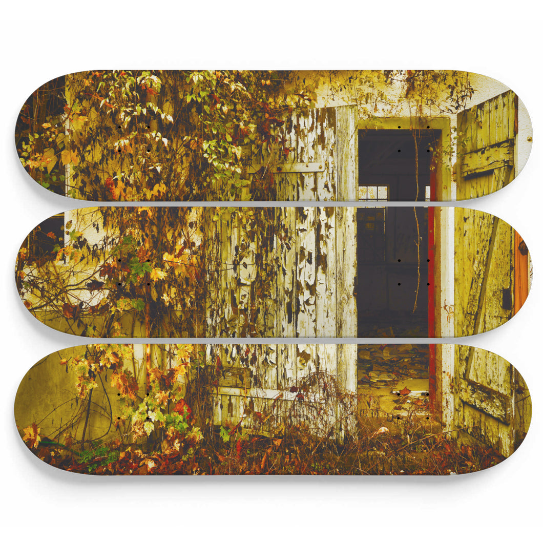 Cathy's Cabin Skateboard Wall Art