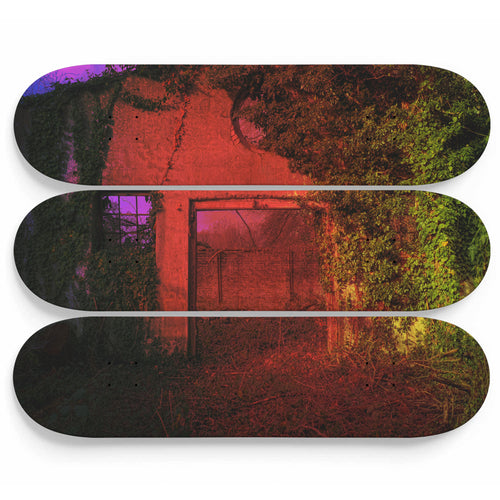 Predatory Growth Skateboard Wall Art