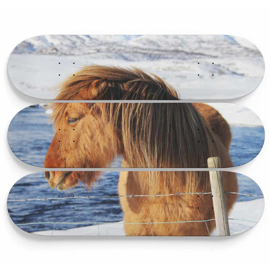 Ice Heat Horse Skateboard Wall Art