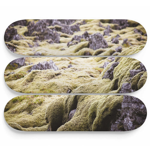 Violet Moss Skateboard Wall Art