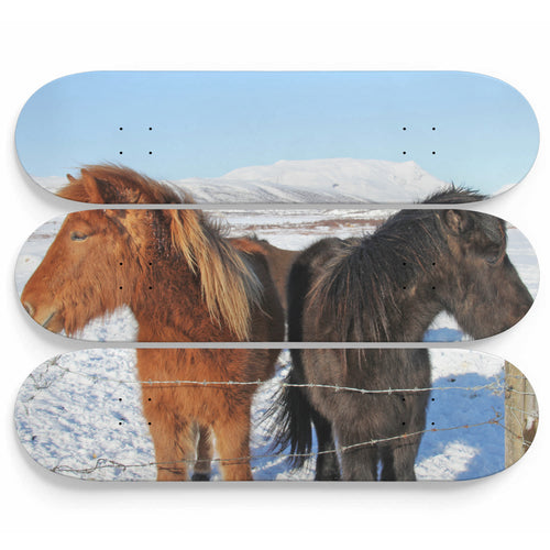 Iceland Horses Skateboard Wall Art