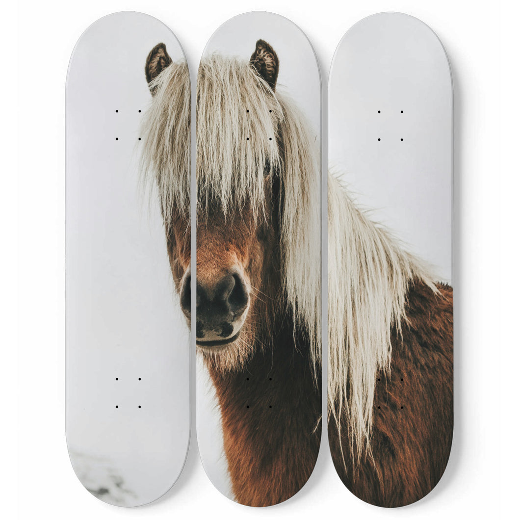 Hippie Hairy Skateboard Wall Art