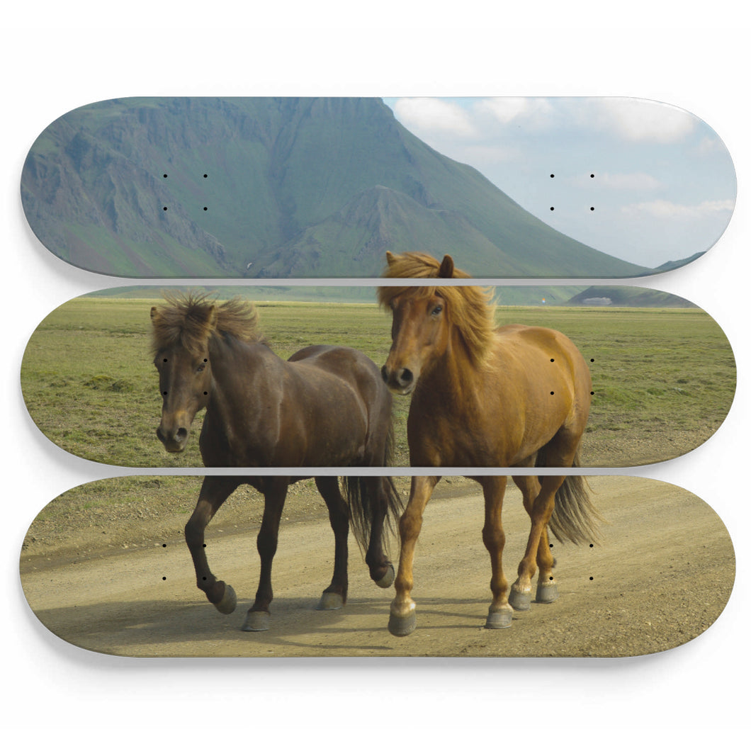 Old Friends Skateboard Wall Art