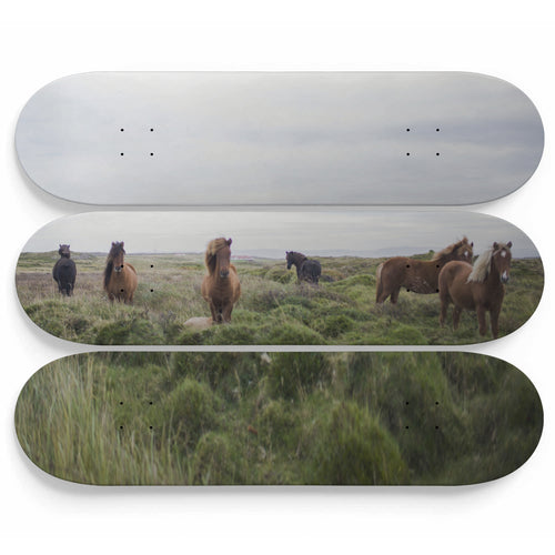 Horse Prairie Skateboard Wall Art