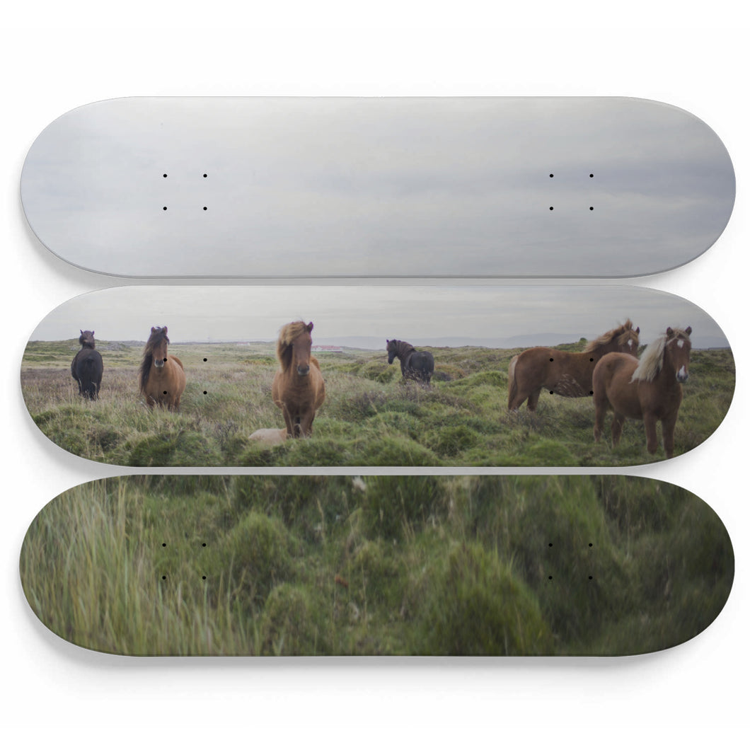 Horse Prairie Skateboard Wall Art