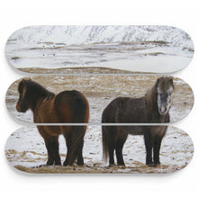 Back to Back Skateboard Wall Art