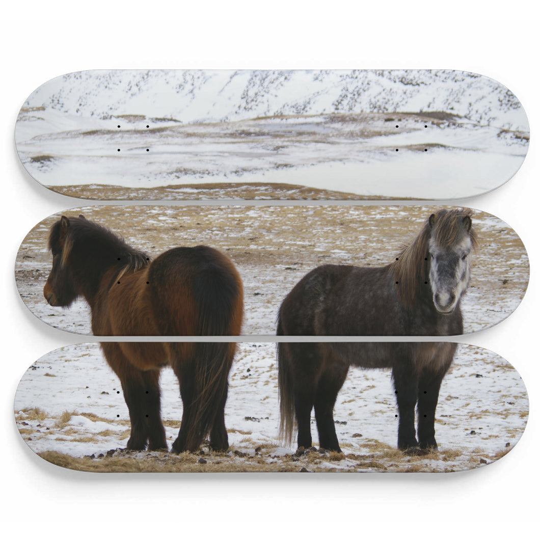 Back to Back Skateboard Wall Art