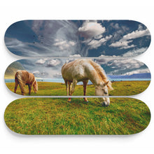 Horse and Solitude Skateboard Wall Art