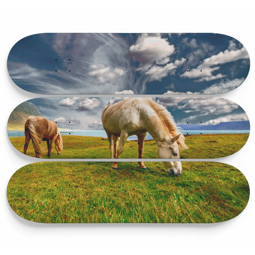Horse and Solitude Skateboard Wall Art