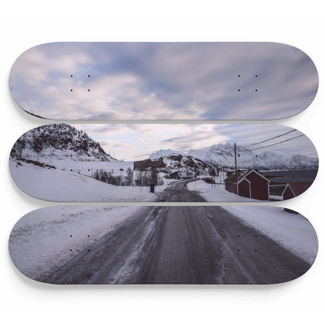 Winter Encounter Road Skateboard Wall Art