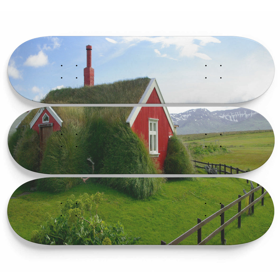 Red Souround Skateboard Wall Art