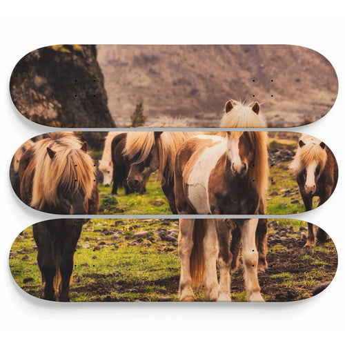 Horses of Wonder Skateboard Wall Art