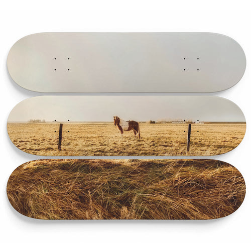 Horse of Envy Skateboard Wall Art