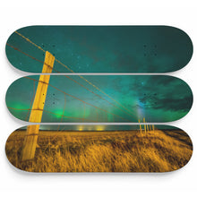 Boreal Yard Skateboard Wall Art