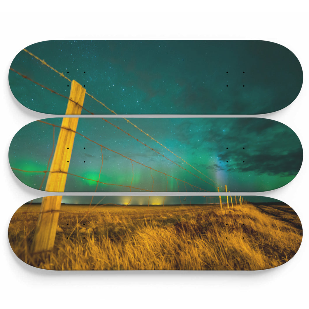 Boreal Yard Skateboard Wall Art