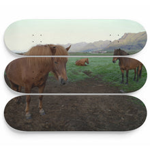 Witness Trilogy Skateboard Wall Art