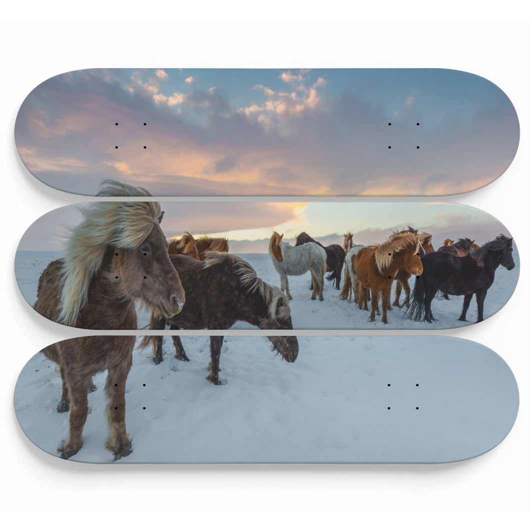 Endless Winter Horses Skateboard Wall Art