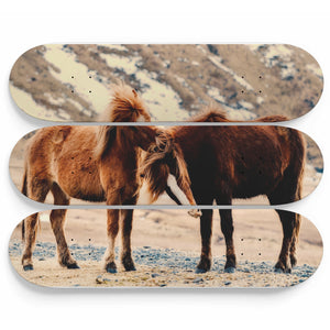 Horses of Joy Skateboard Wall Art