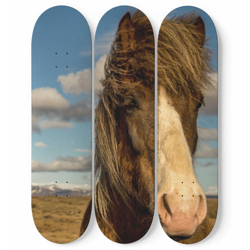 Horse in the wind Skateboard Wall Art