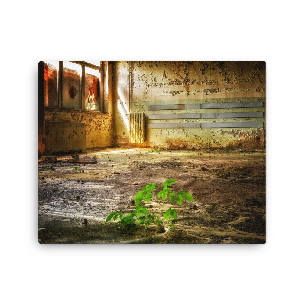 Sunny Dark Saloon Canvas Print