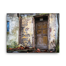 Door 96 Canvas Print