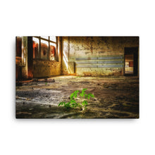 Sunny Dark Saloon Canvas Print