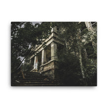 Doctor Steinbeck Asylum Canvas Print
