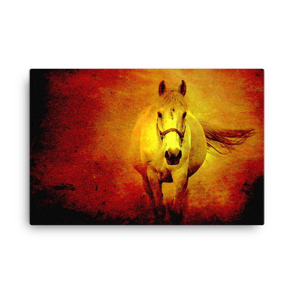 Travel To Mexico Horse Art Canvas