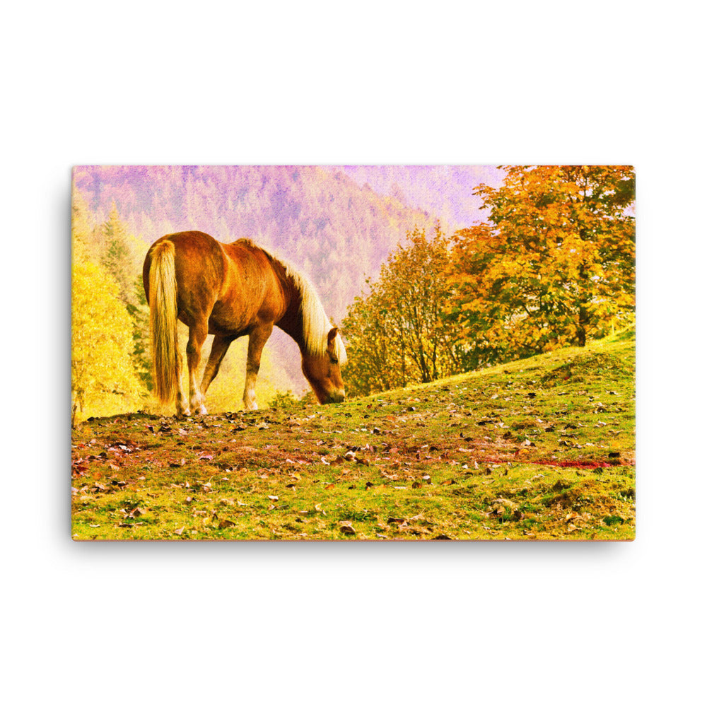 Message For You Horse Art Canvas