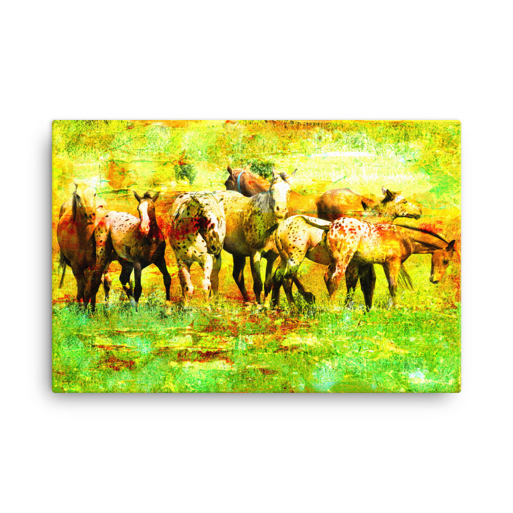 Away From Horse Art Canvas
