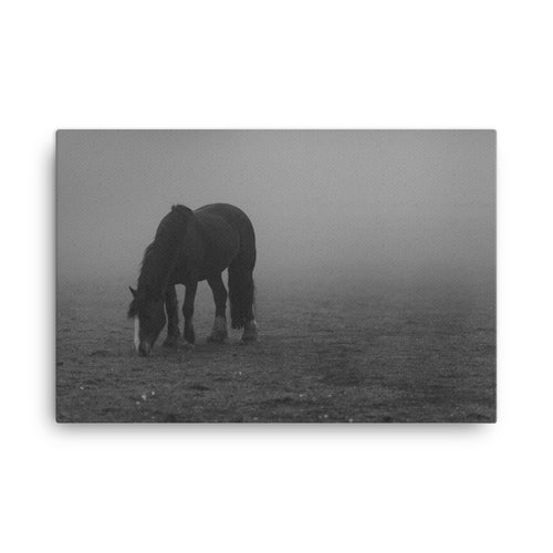 Mystic Insignia Horse Art Canvas