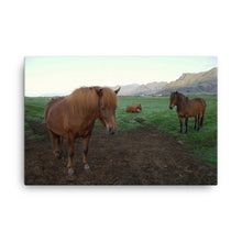 Witness Trilogy Canvas Print