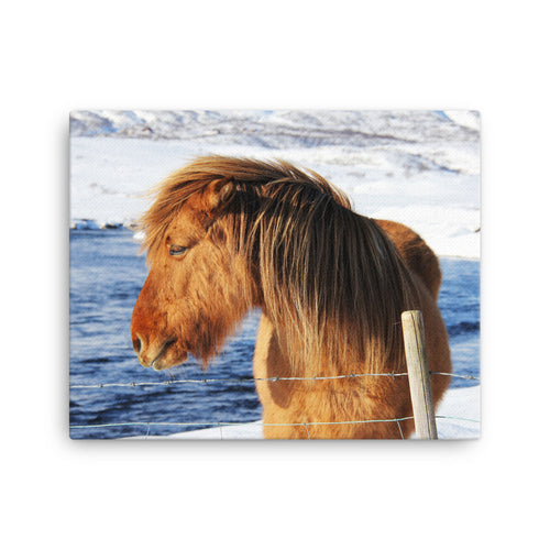 Ice Heat Horse Canvas Print