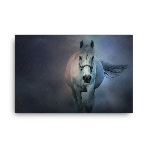 Soft Blue Horse Art Canvas